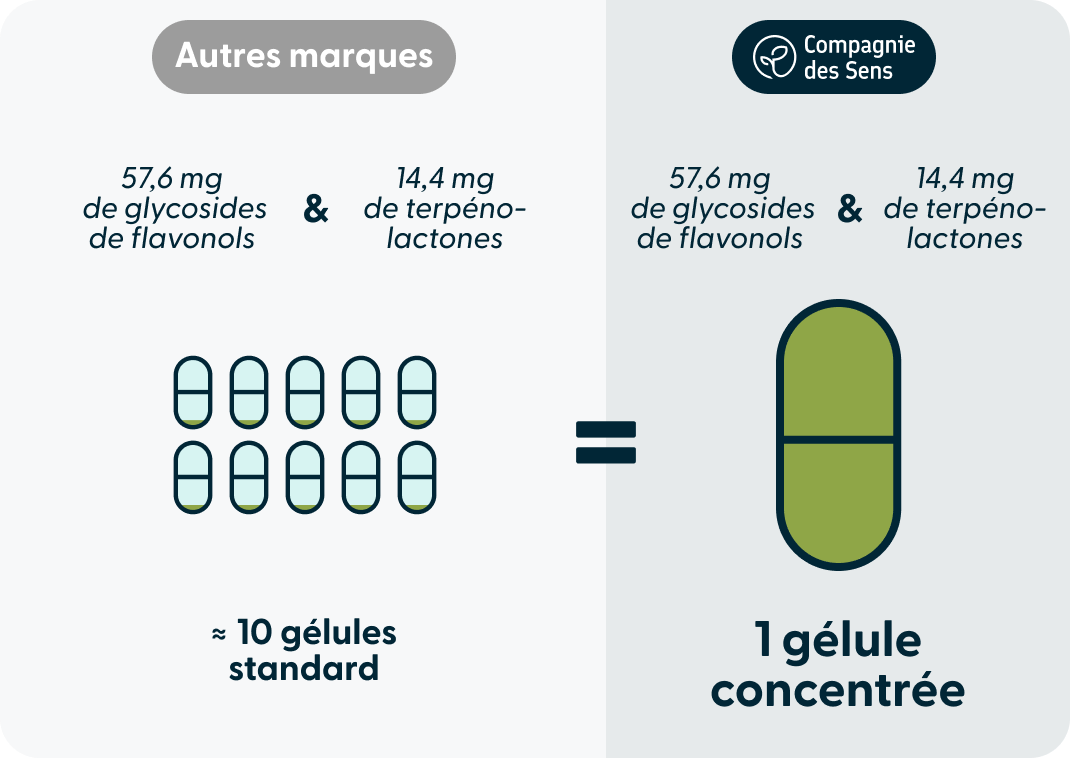 Dosage glycosides de flavonols et terpénolactones
